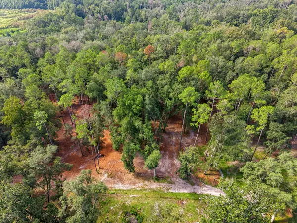 1050 Katie Wood Trail, BROOKSVILLE, FL 34602