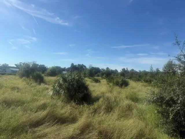 Welcome Road #Lot 2, Lithia, FL 33547 - #1