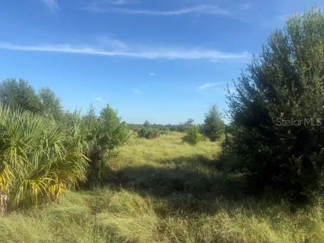 Welcome Road #Lot 2, Lithia, FL 33547 - #2