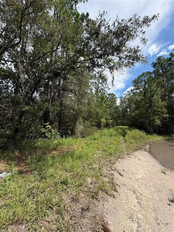 1746 Country Woods Drive, LAKELAND, FL 33809