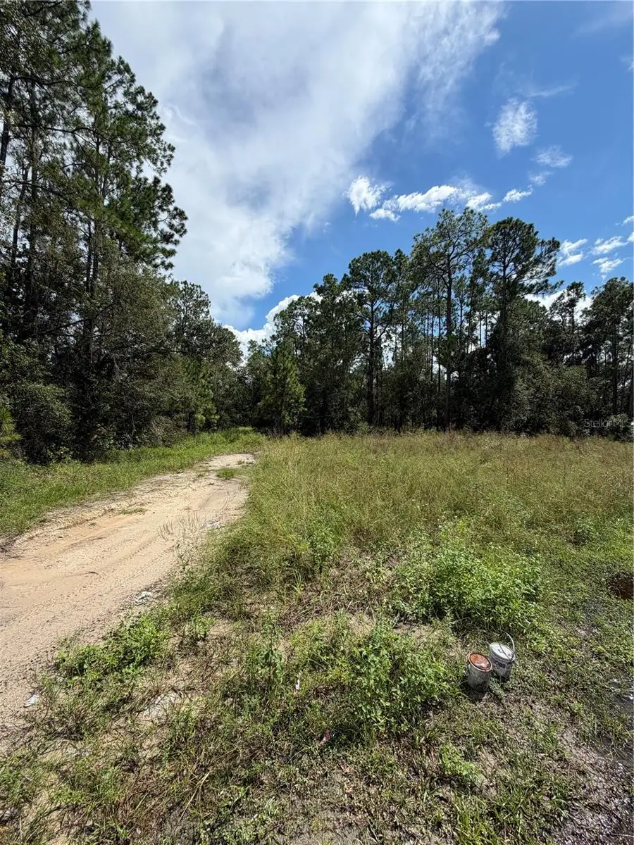 1746 Country Woods Drive, Lakeland, FL 33809 - #3