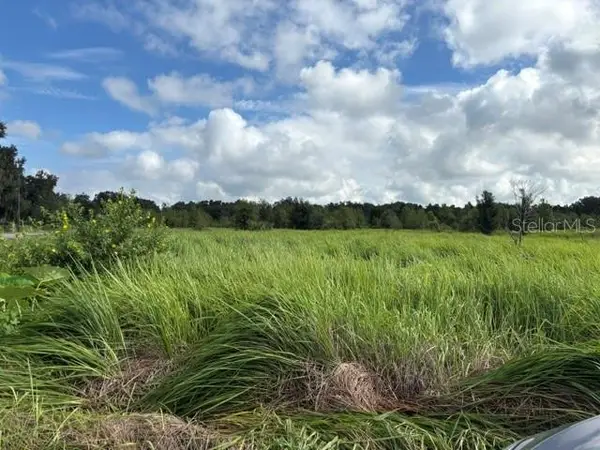 Walter Hunter Road #Lot 1, LITHIA, FL 33547