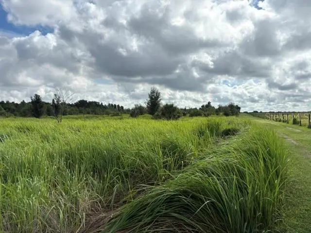 Walter Hunter Road #Lot 1, Lithia, FL 33547 - #3