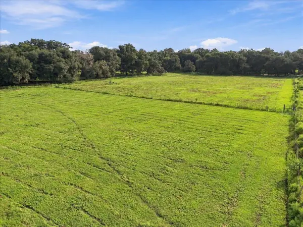 39410 Sparkman Road, DADE CITY, FL 33525