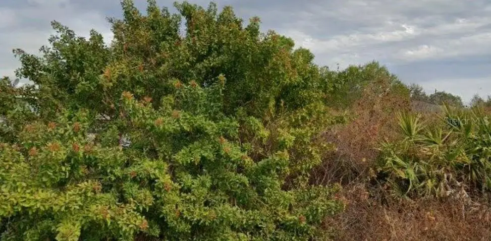 6010 Elaine Avenue N, Lehigh Acres, FL 33971 - #1