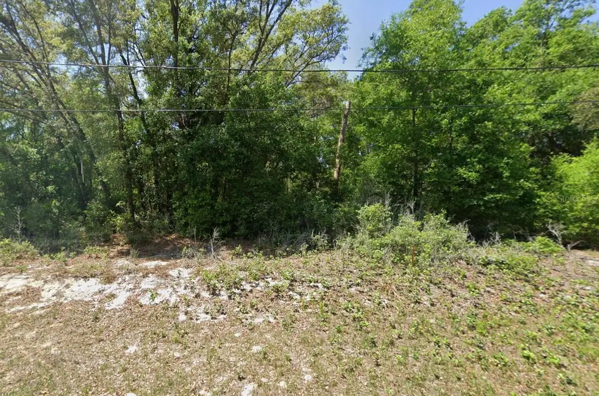 Guava Pass Lane, Ocklawaha, FL 32179 - #1