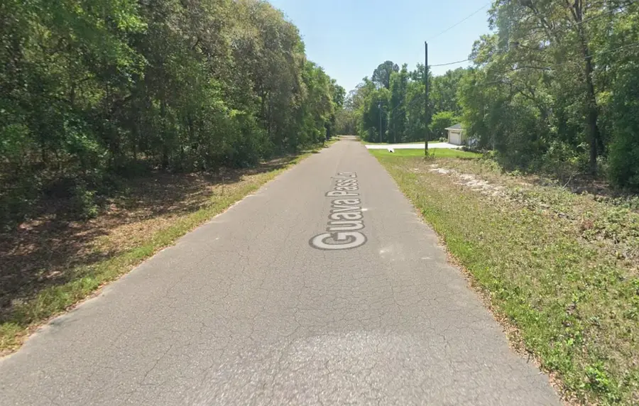 Guava Pass Lane, Ocklawaha, FL 32179 - #2