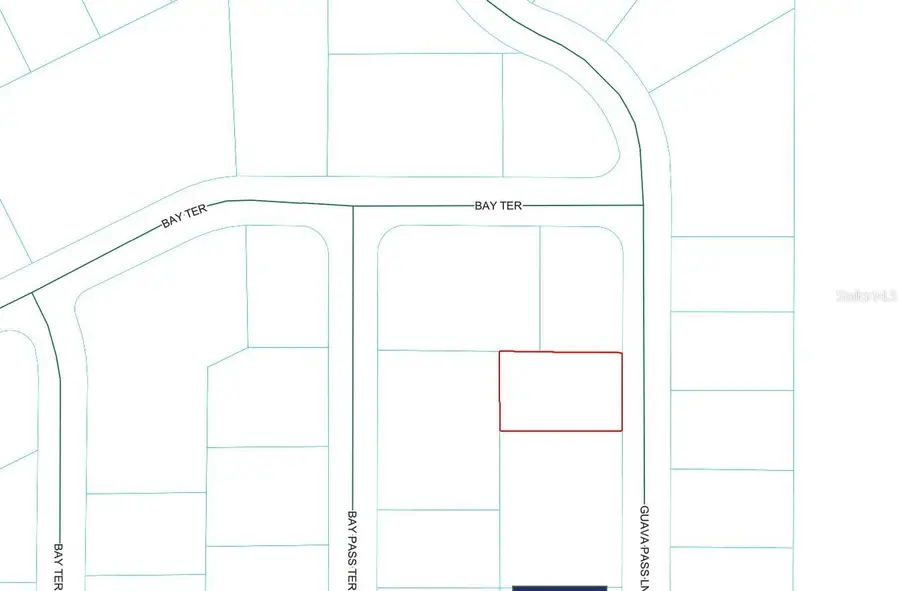 Guava Pass Lane, Ocklawaha, FL 32179 - #3