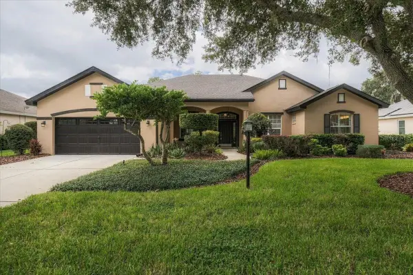 2929 Forest Hammock Drive, PLANT CITY, FL 33566