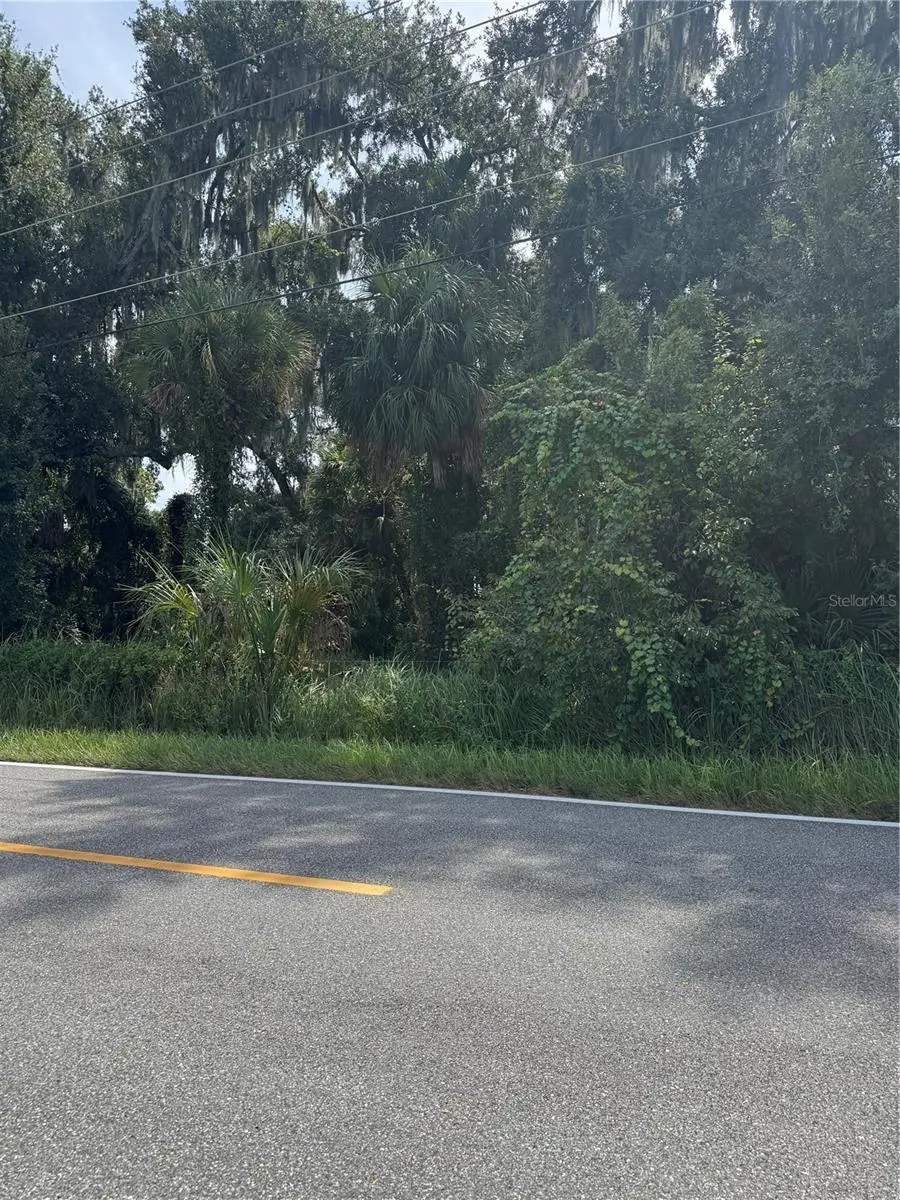 0 Medulla Road, Lakeland, FL 33811 - #1