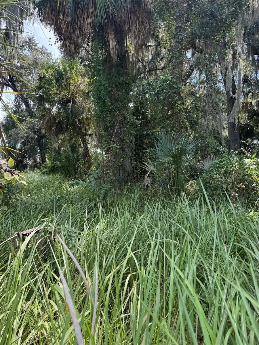 0 Medulla Road, Lakeland, FL 33811 - #2