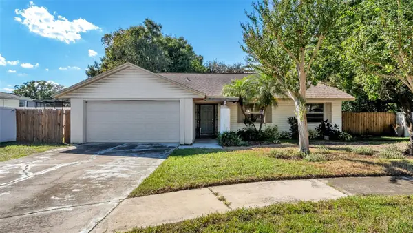 3108 Elderwood Place, SEFFNER, FL 33584