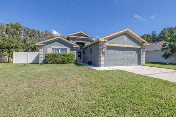 30843 Luhman Court, WESLEY CHAPEL, FL 33543