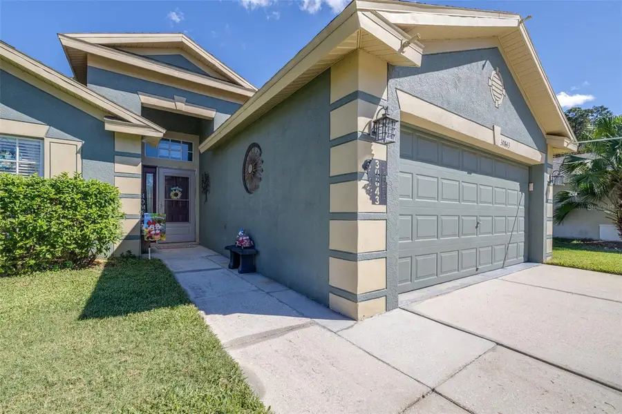 30843 Luhman Court, Wesley Chapel, FL 33543 - #2