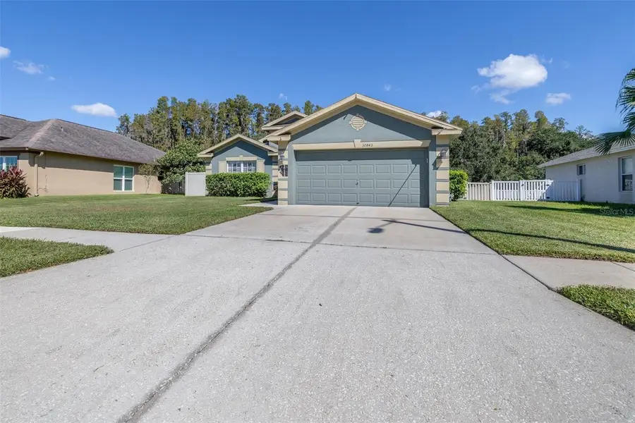 30843 Luhman Court, Wesley Chapel, FL 33543 - #3