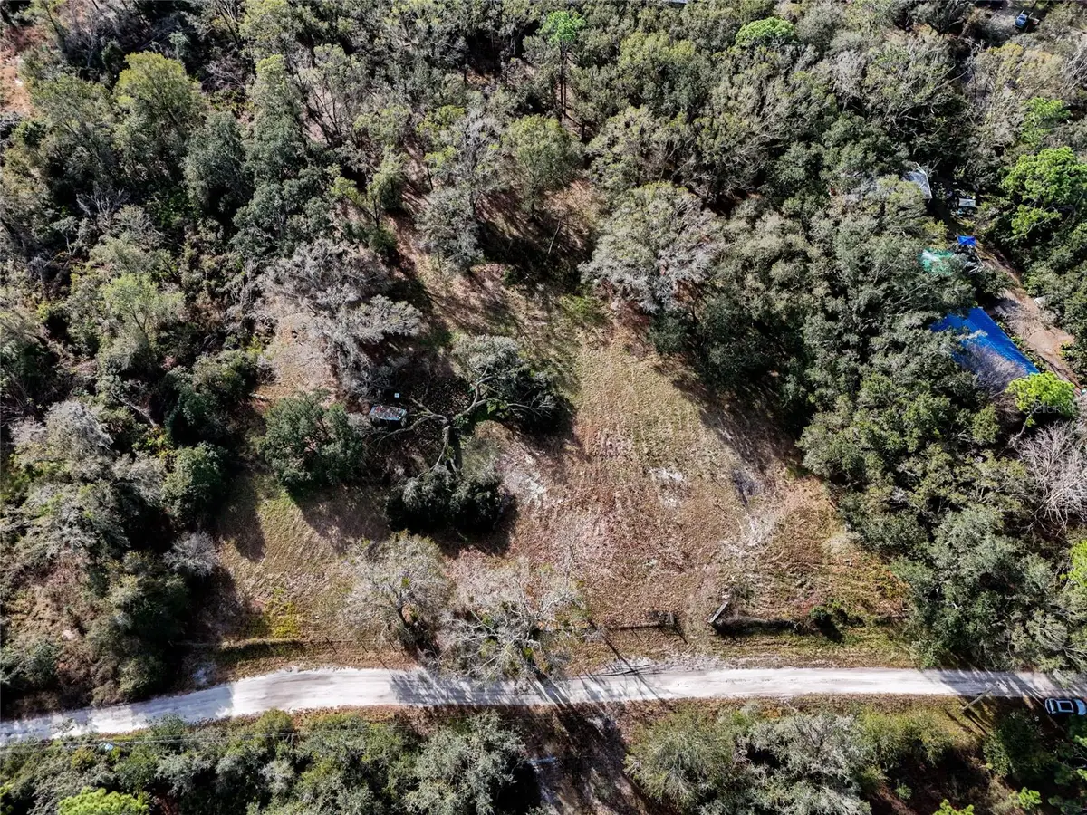 40550 Sutorus Road, Zephyrhills, FL 33540 - #1