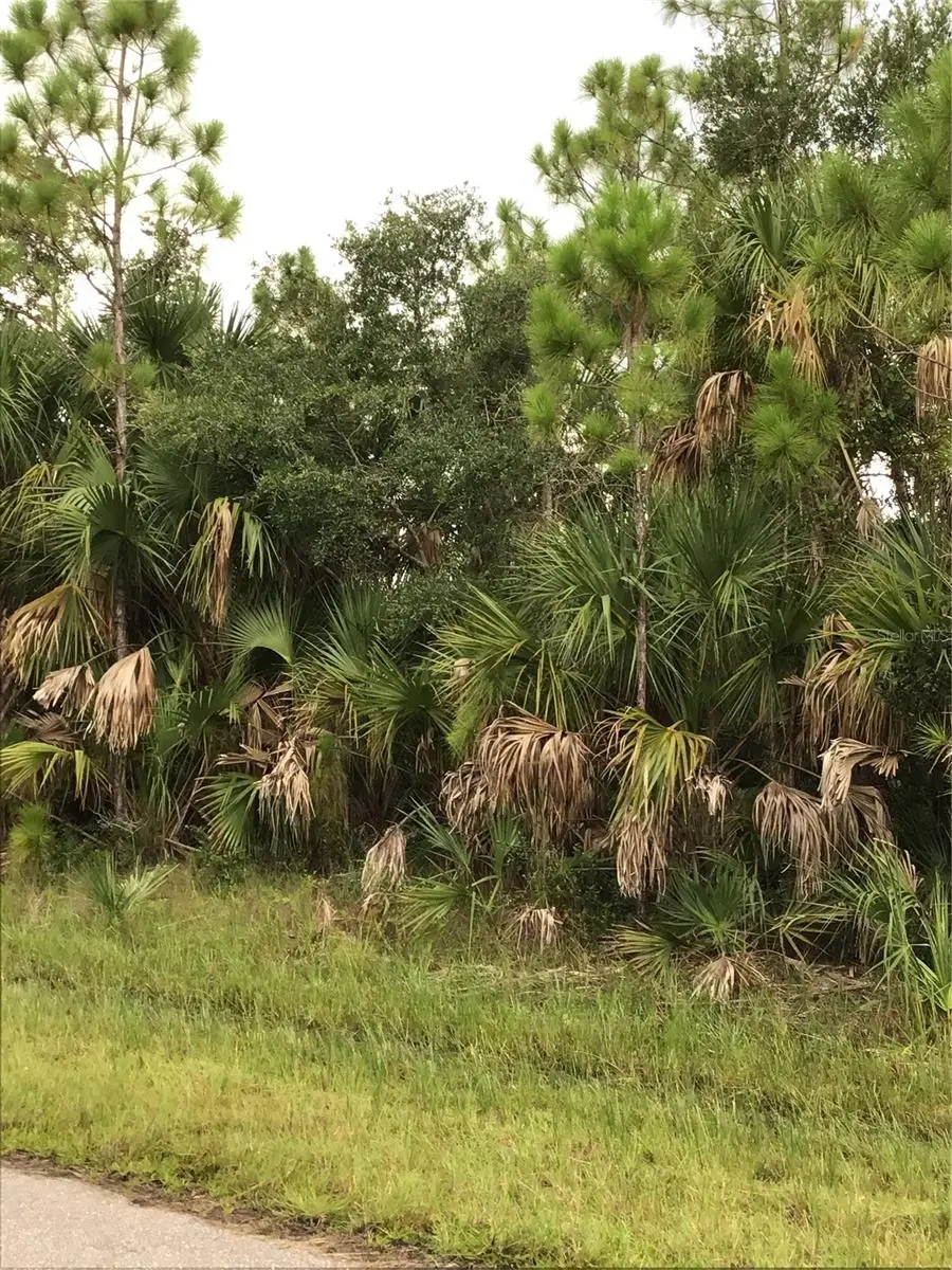 14202 Hydrangea Avenue, Port Charlotte, FL 33953 - Image #1