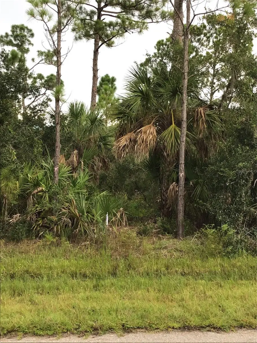 14202 Hydrangea Avenue, Port Charlotte, FL 33953 - Image #3