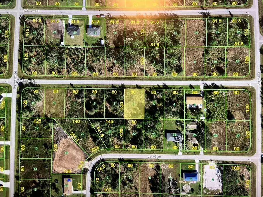 29441 Pontico Street, Punta Gorda, FL 33982 - #2