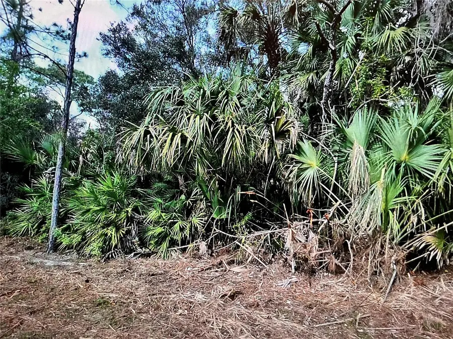LOT 22 Surf Avenue, North Port, FL 34291 - Image #2