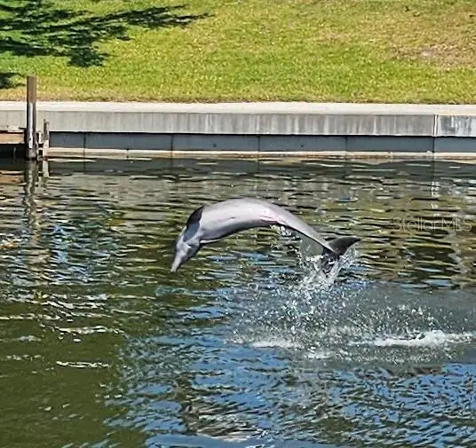 4 Windsor Drive, Englewood, FL 34223 - #2