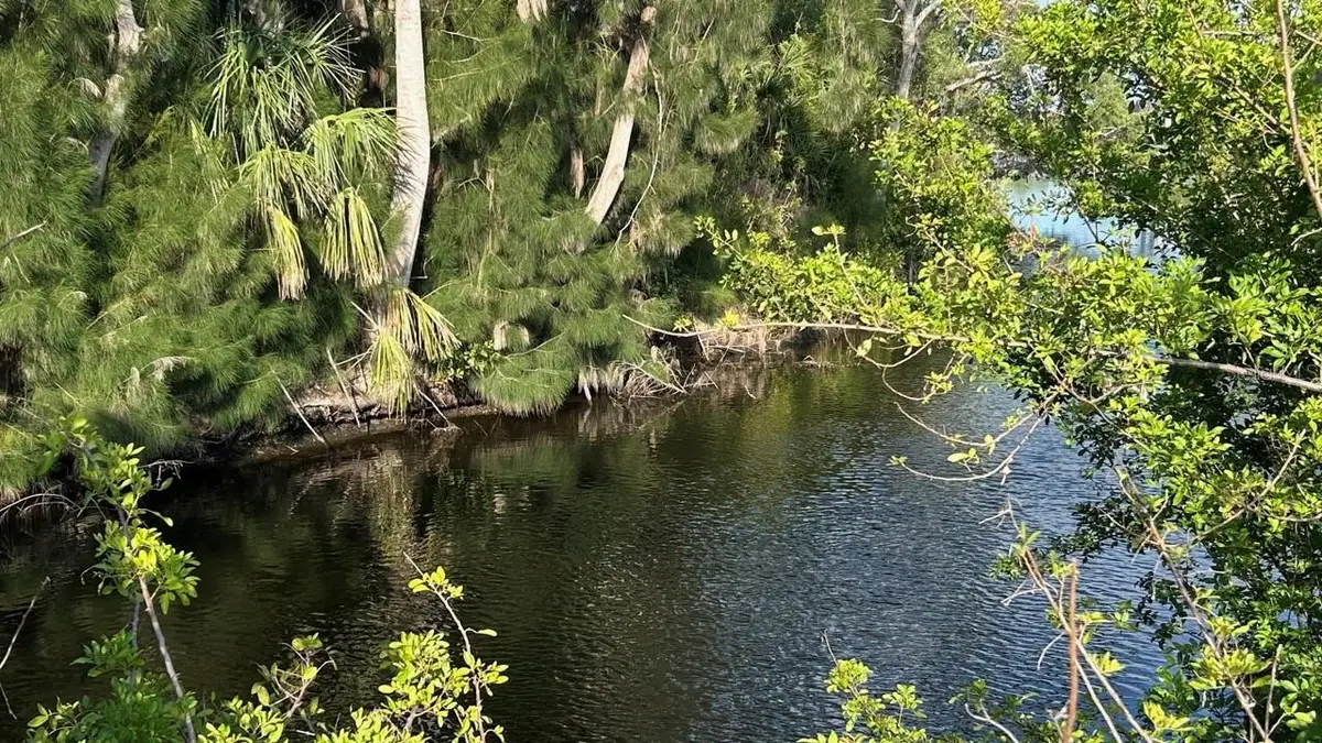 Cortez Lane, North Port, FL 34287 - Image #1