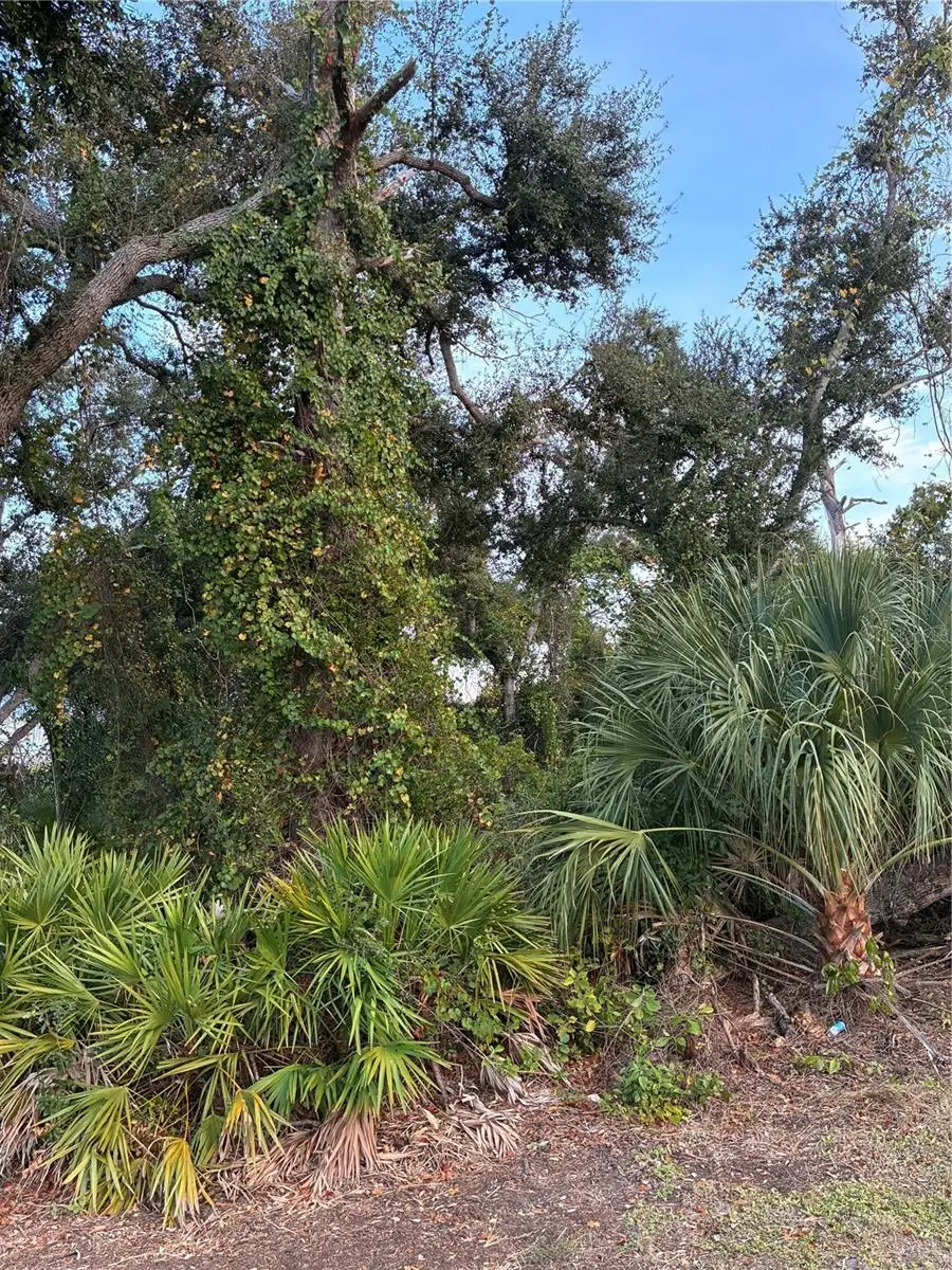 293 Libby Street, Port Charlotte, FL 33953 - Image #1