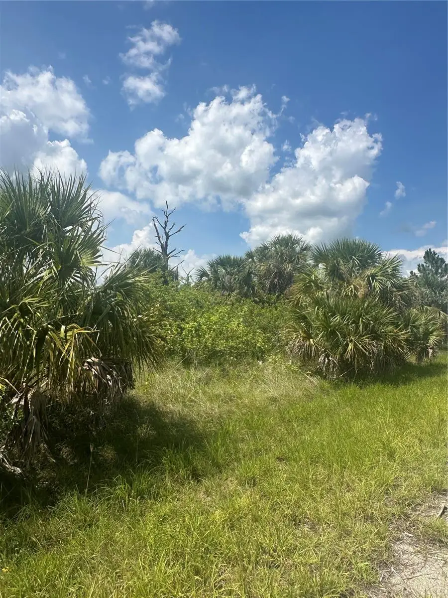 Fritz Avenue, North Port, FL 34288 - Image #2