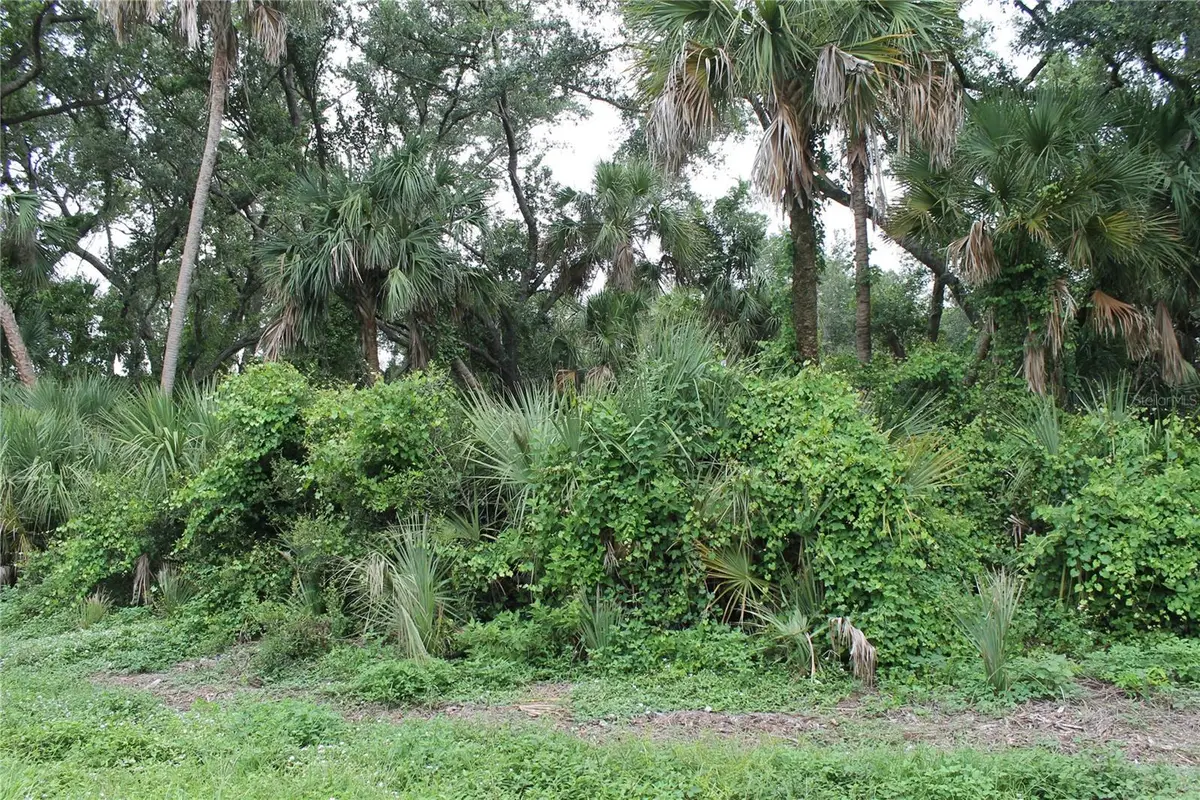 18106 Sinatra Avenue, Port Charlotte, FL 33954 - Image #1