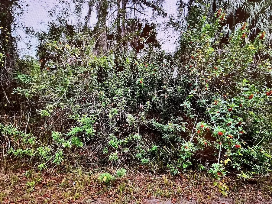 LOT 24 Campbell Street, North Port, FL 34288 - Image #2