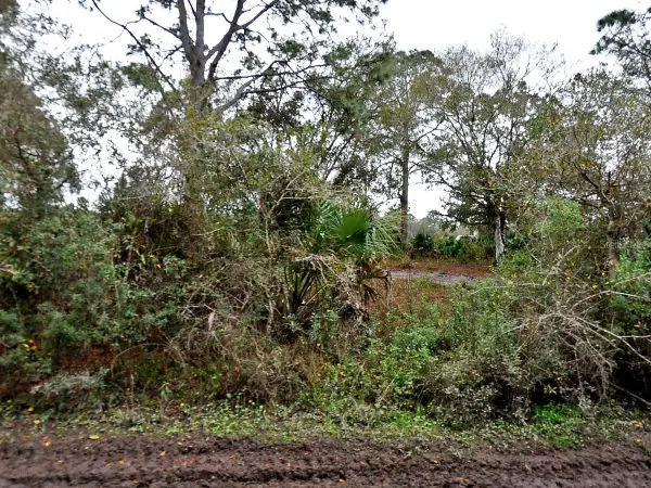 Henrietta Avenue, NORTH PORT, FL 34291