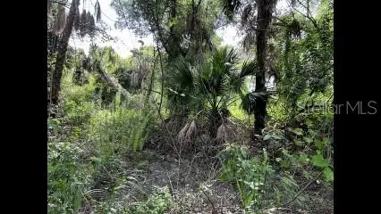 Alpen Avenue, North Port, FL 34291 - Image #1