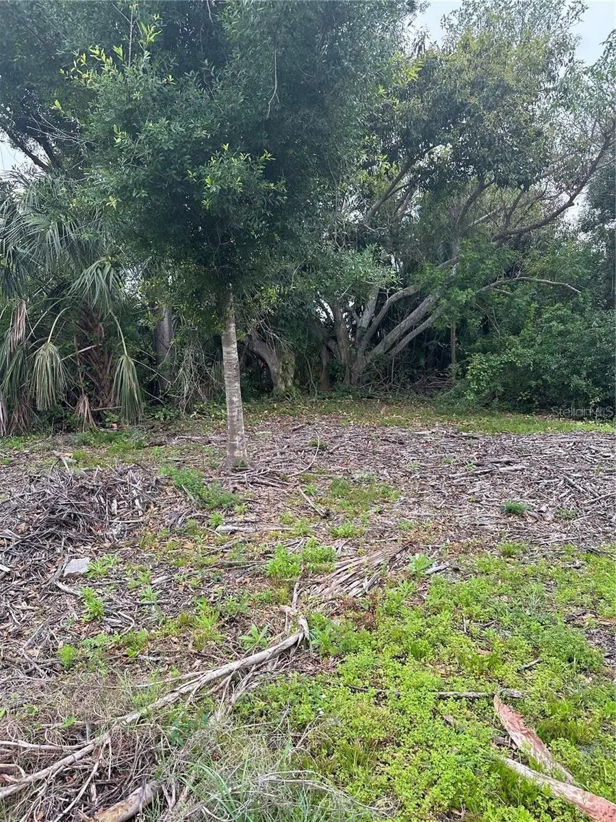 1015 Elm Street, Punta Gorda, FL 33950 - Image #3