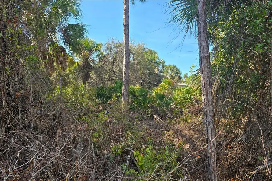 Lot 29 / Block 254 Allegheny Lane, North Port, FL 34286 - #2