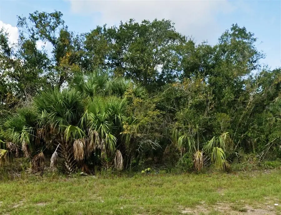 27159 San Pablo Drive, Punta Gorda, FL 33955 - #2