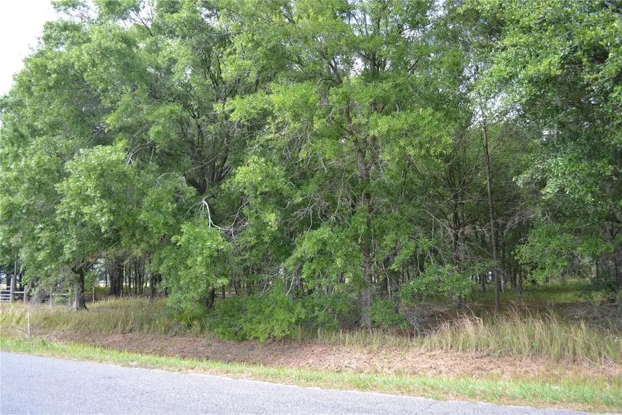 Bostick Road, Bowling Green, FL 33834 - #3