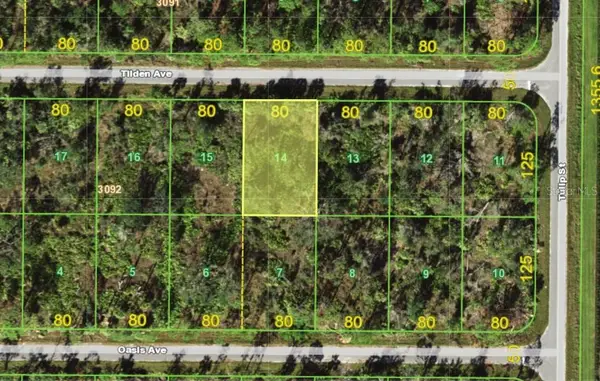15509 Tilden Avenue, PORT CHARLOTTE, FL 33953