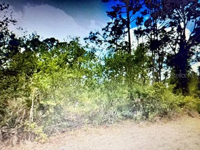 13153 Selzer Avenue, Port Charlotte, FL 33953 - #1