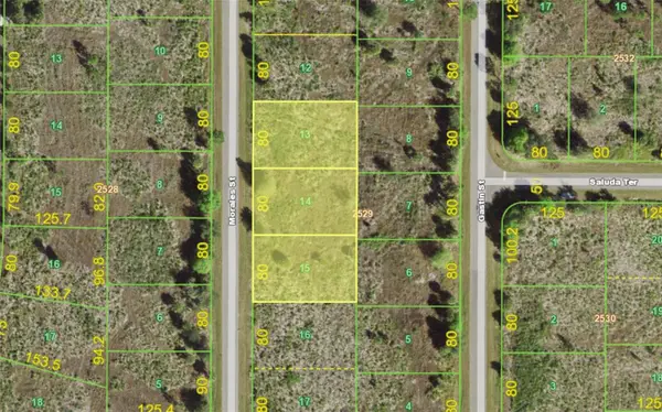 238, 246 & 254 Morales Street, PORT CHARLOTTE, FL 33953