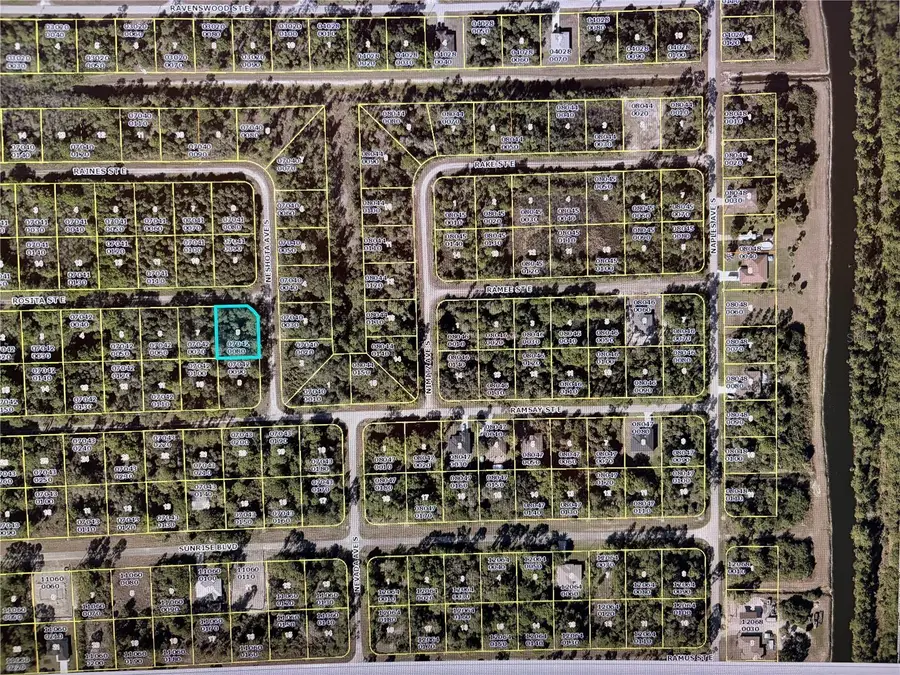 1224 Rosita Street E, Lehigh Acres, FL 33974 - #3