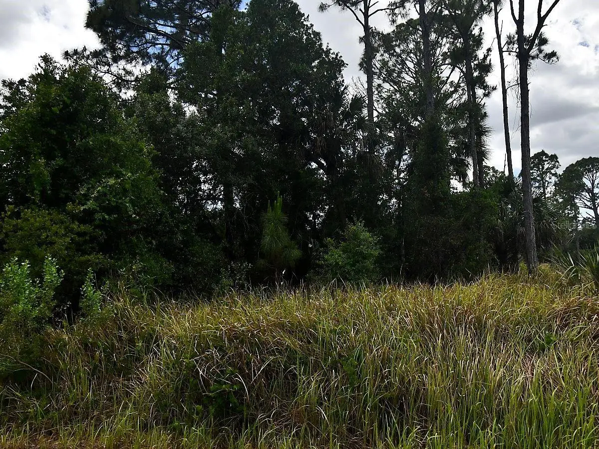 Stegale Road, North Port, FL 34291 - #1