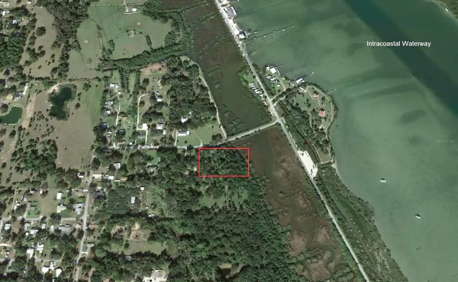 351 Palm Avenue, Oak Hill, FL 32759 - Image #2