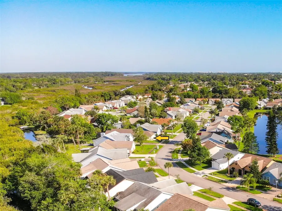806 Pine Shores Circle, New Smyrna Beach, FL 32168 - Image #3