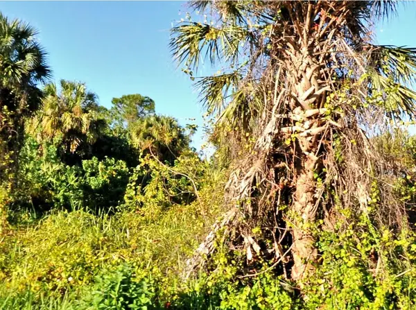 Snover Avenue, NORTH PORT, FL 34286