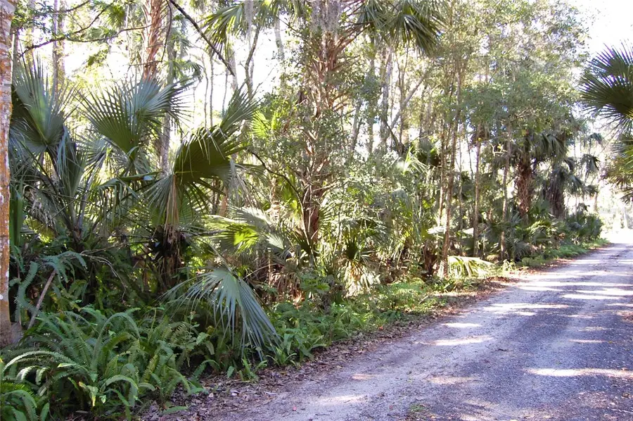 0 Palm Drive, New Smyrna Beach, FL 32168 - Image #2