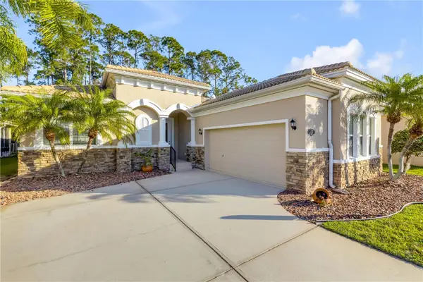 3455 Pegaso Avenue, NEW SMYRNA BEACH, FL 32168