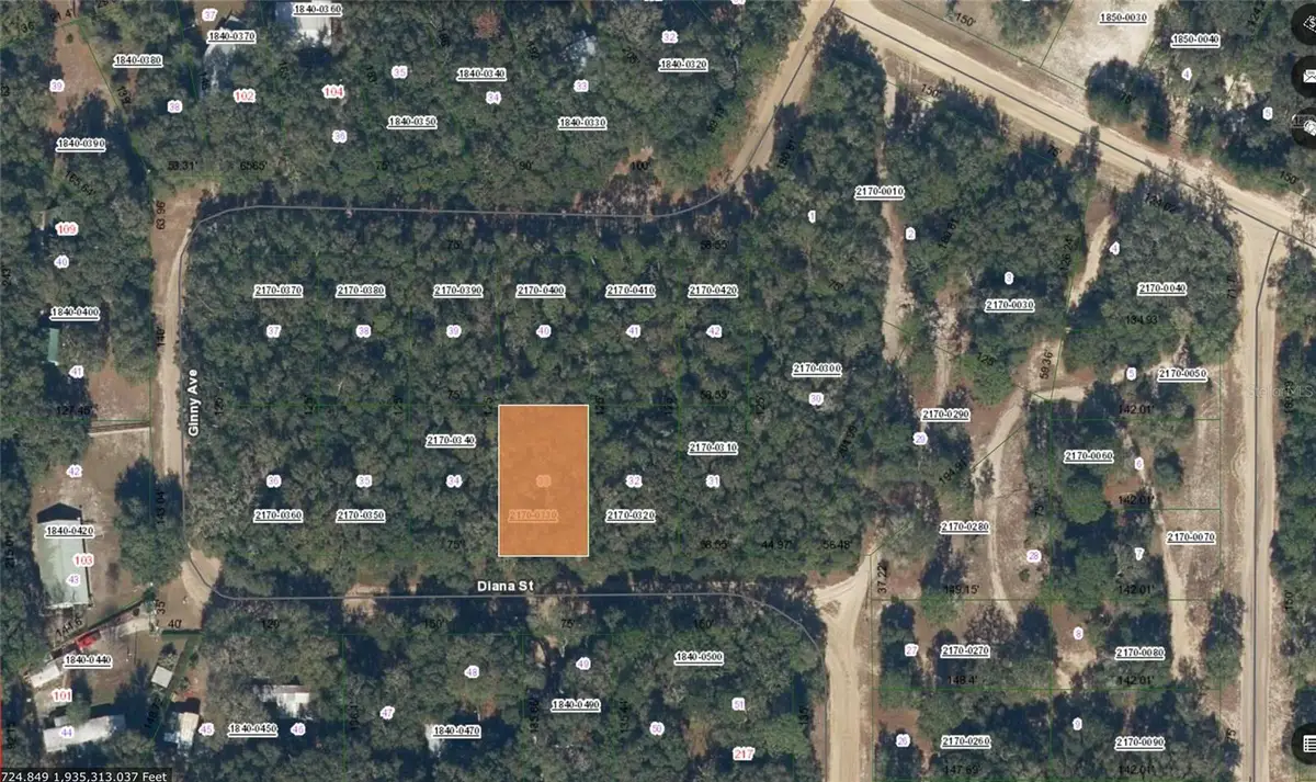 Diana Street, Interlachen, FL 32148 - #1