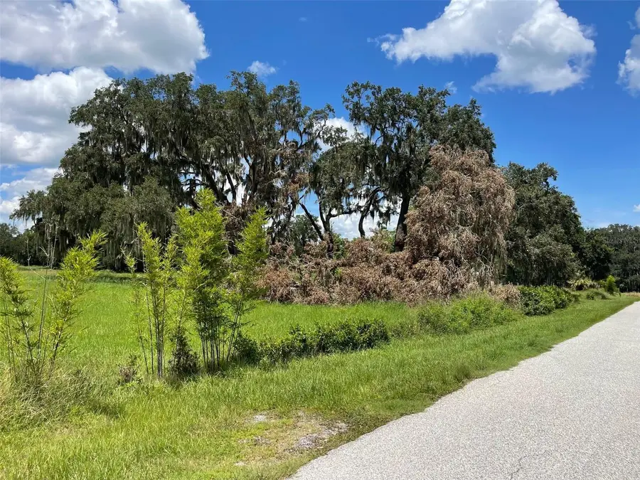 26831 Bloomfield Avenue, Yalaha, FL 34797 - Image #2