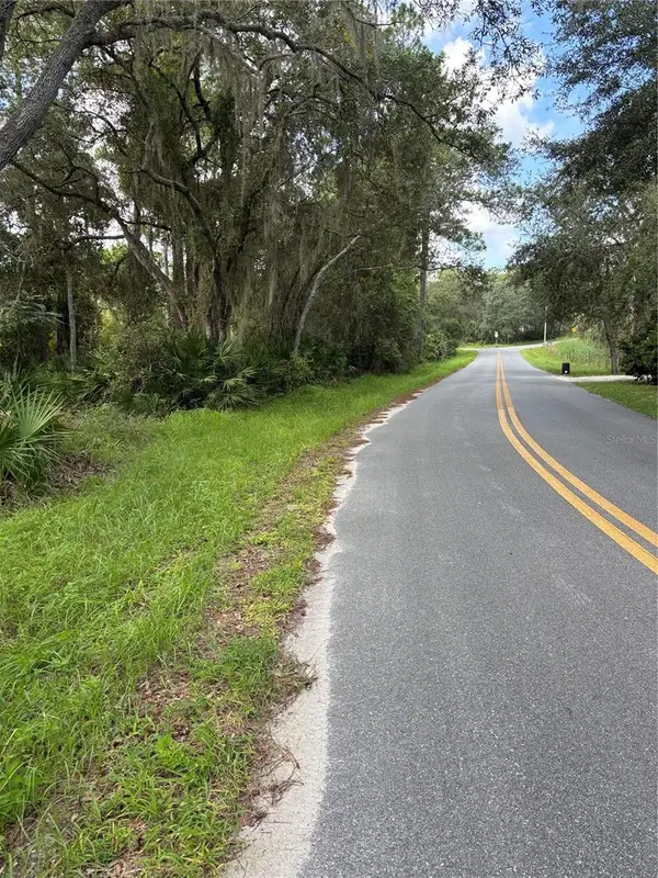 246 Browns Hammock Road, CRESCENT CITY, FL 32112