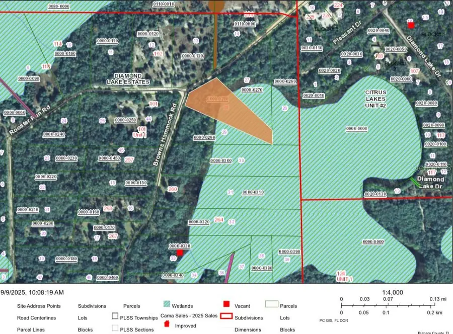 246 Browns Hammock Road, Crescent City, FL 32112 - Image #2